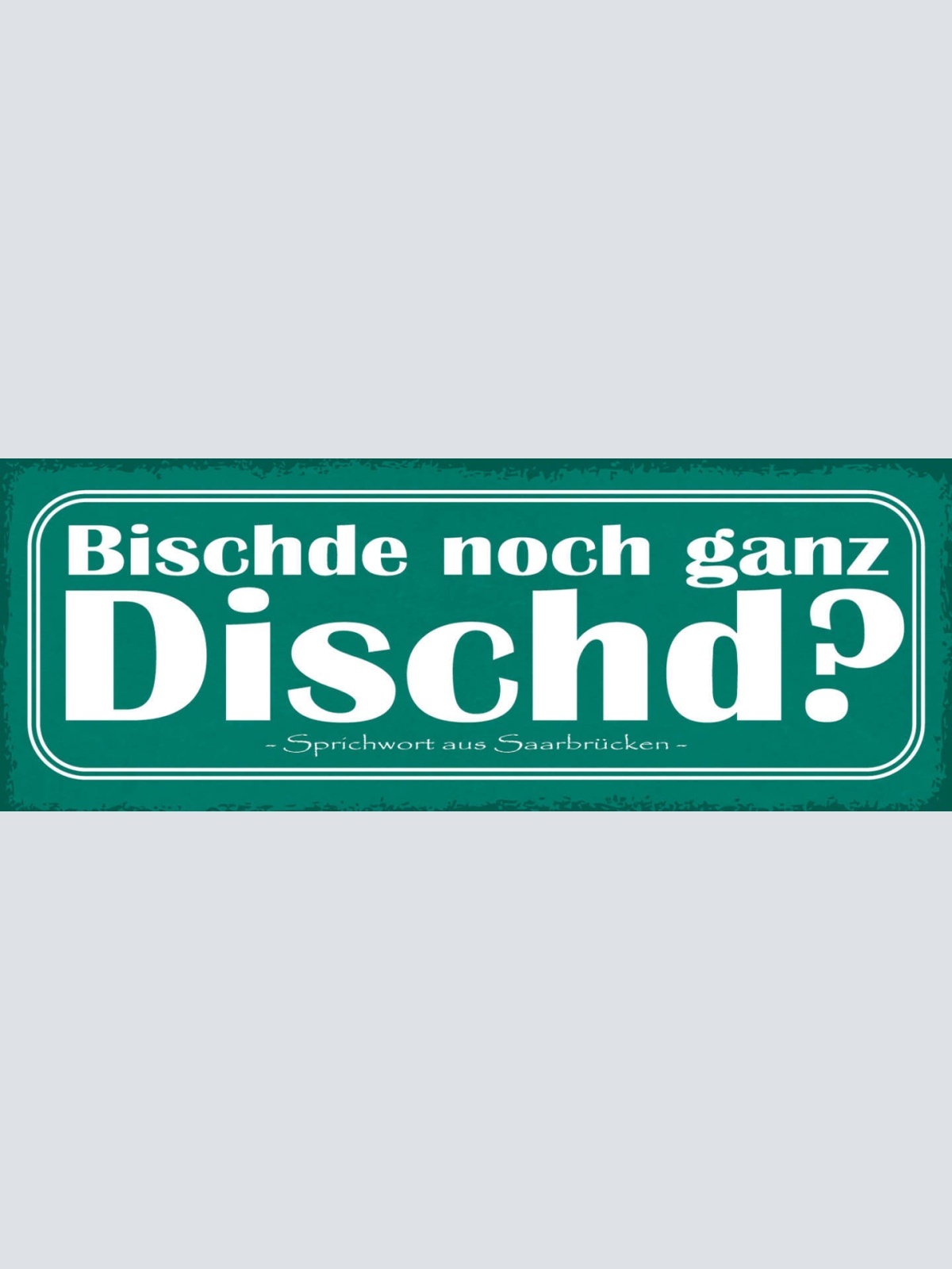 Schild Bischde Noch Ganz Dischd Dicht Sein Saarbrücken 27x10 Blech od.Holz