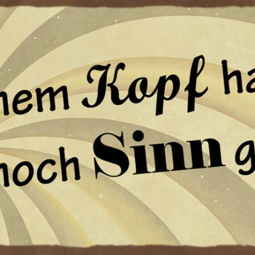 Schild In Meinem Kopf Hat Das Gerade Noch Sinn Gemacht 27x10 Blech od.Holz
