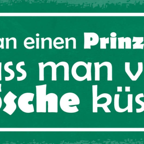 Schild Bevor Man Einen Prinzen Findet Muss Man Viele Frösche Küssen Liebe 27x10