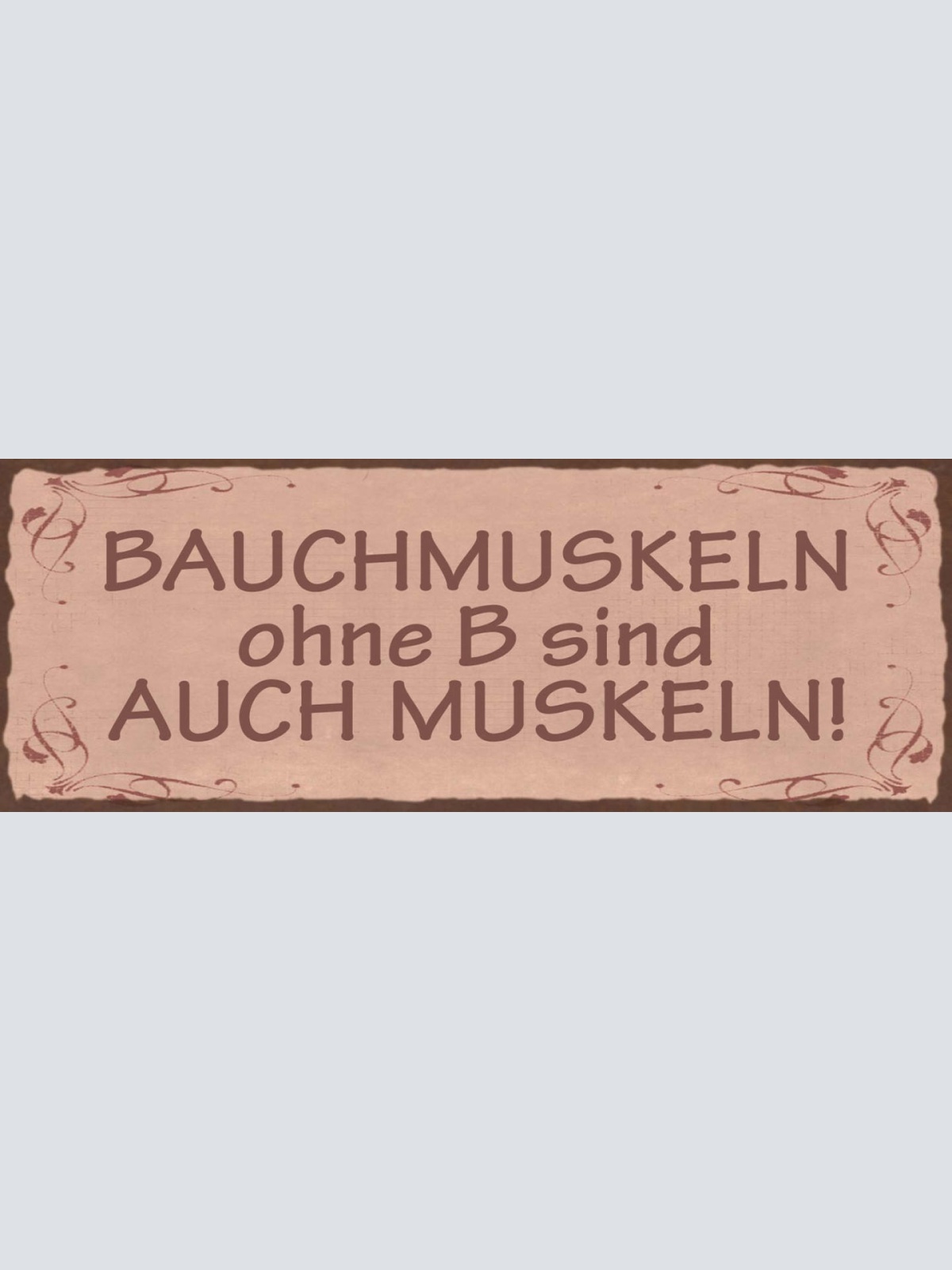 Schild Bauch Muskeln Ohne B Sind Auch Muskeln Training 27x10 Blech od.Holz