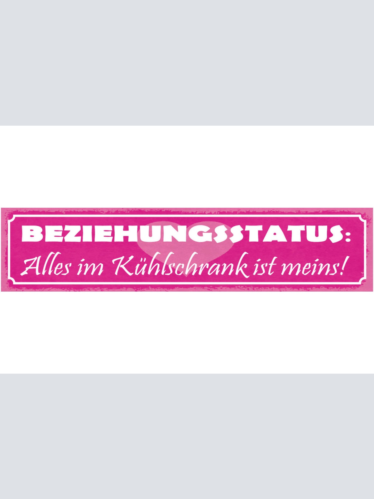 Schild Beziehungsstatus Alles Im Kühlschrank Ist Meins Liebe 46x10 Blech od.Holz