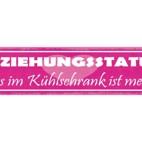 Schild Beziehungsstatus Alles Im Kühlschrank Ist Meins Liebe 46x10 Blech od.Holz
