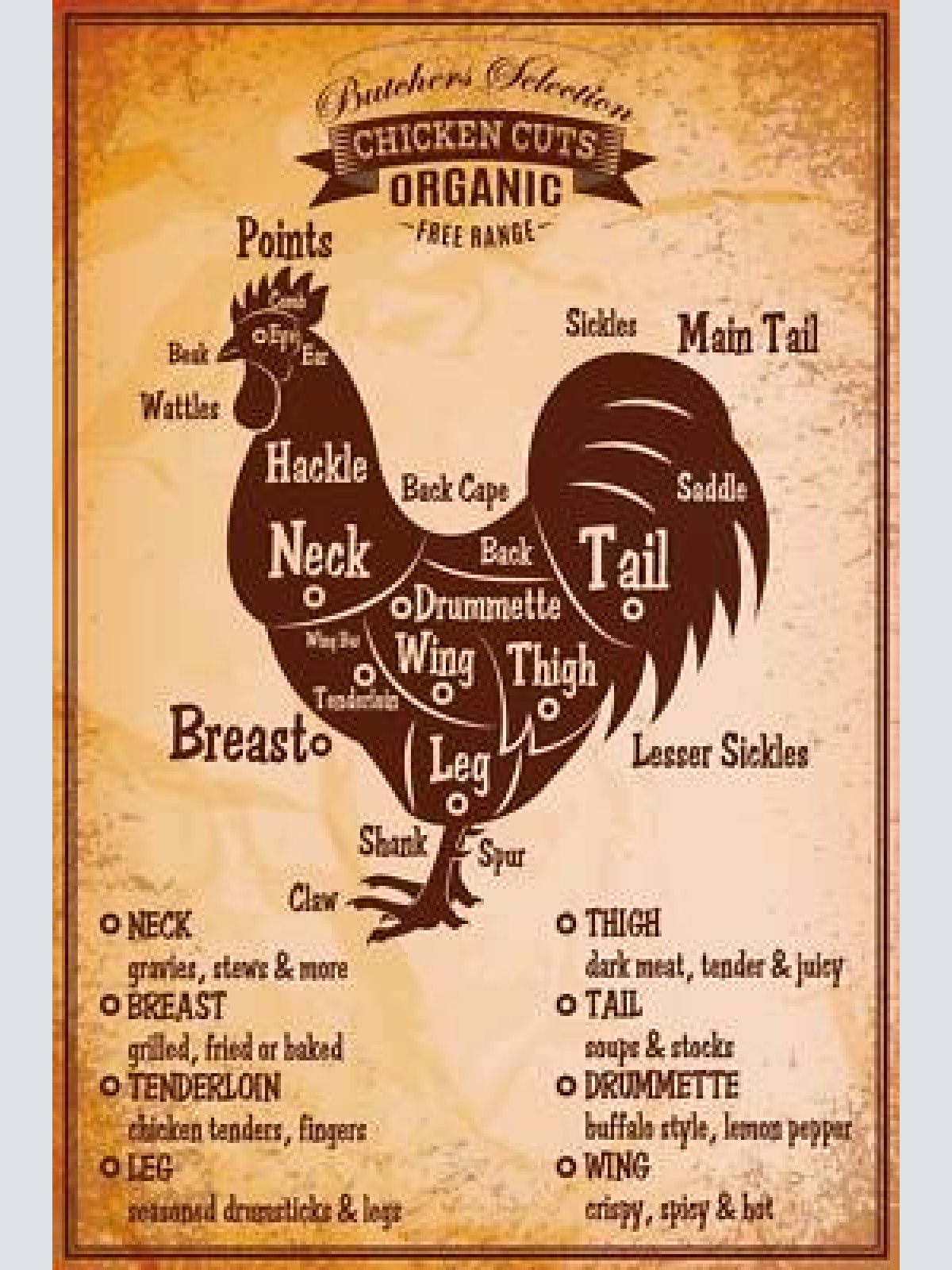 Nostalgie schild chicken cuts huhn diagramm 12x18 / 20x30 / 30x40 blech od. holz