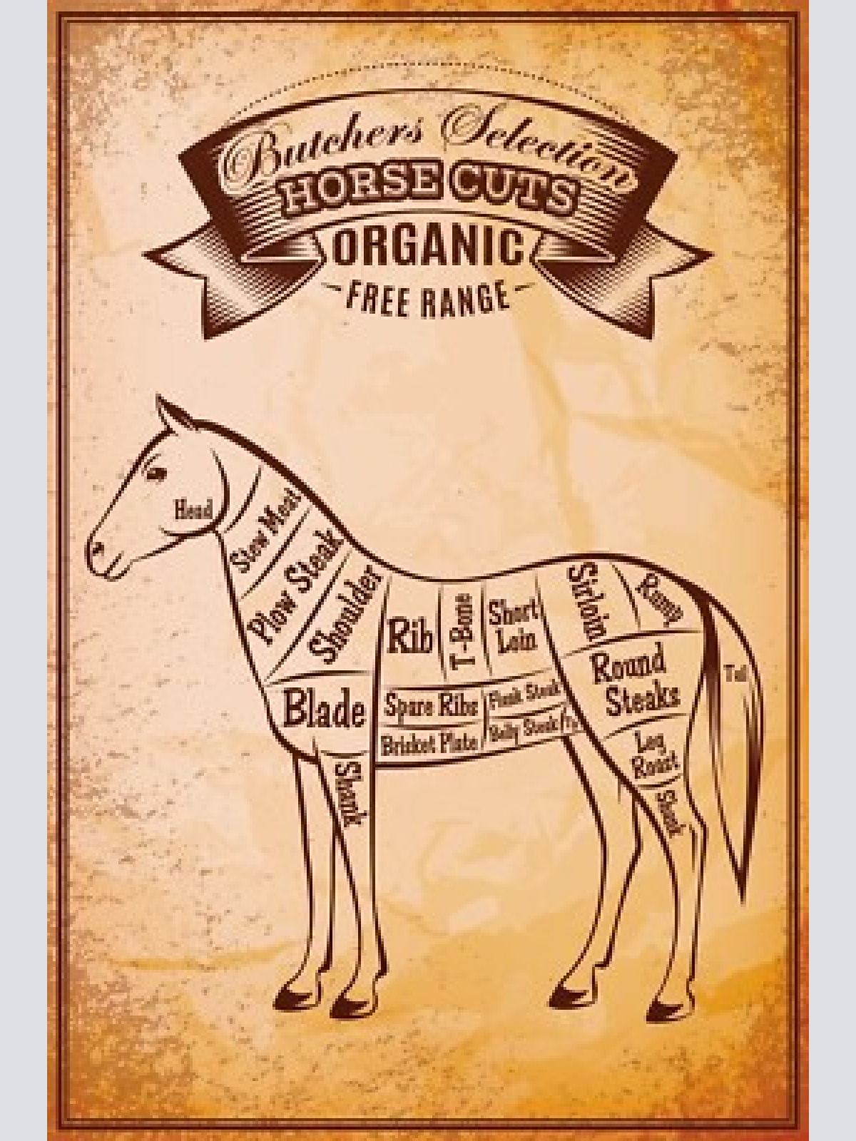 Nostalgie schild horse cuts pferd diagramm 12x18 / 20x30 / 30x40 blech od. holz