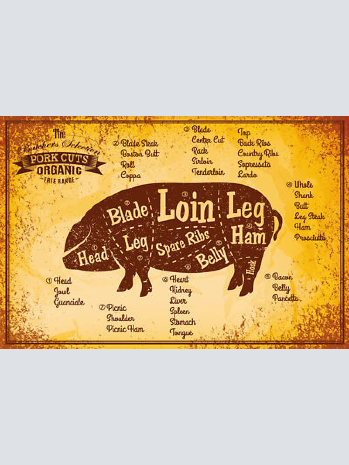 Nostalgie Schild Pork Cuts Schwein Diagramm 12x18 / 20x30 / 30x40 Blech od. Holz