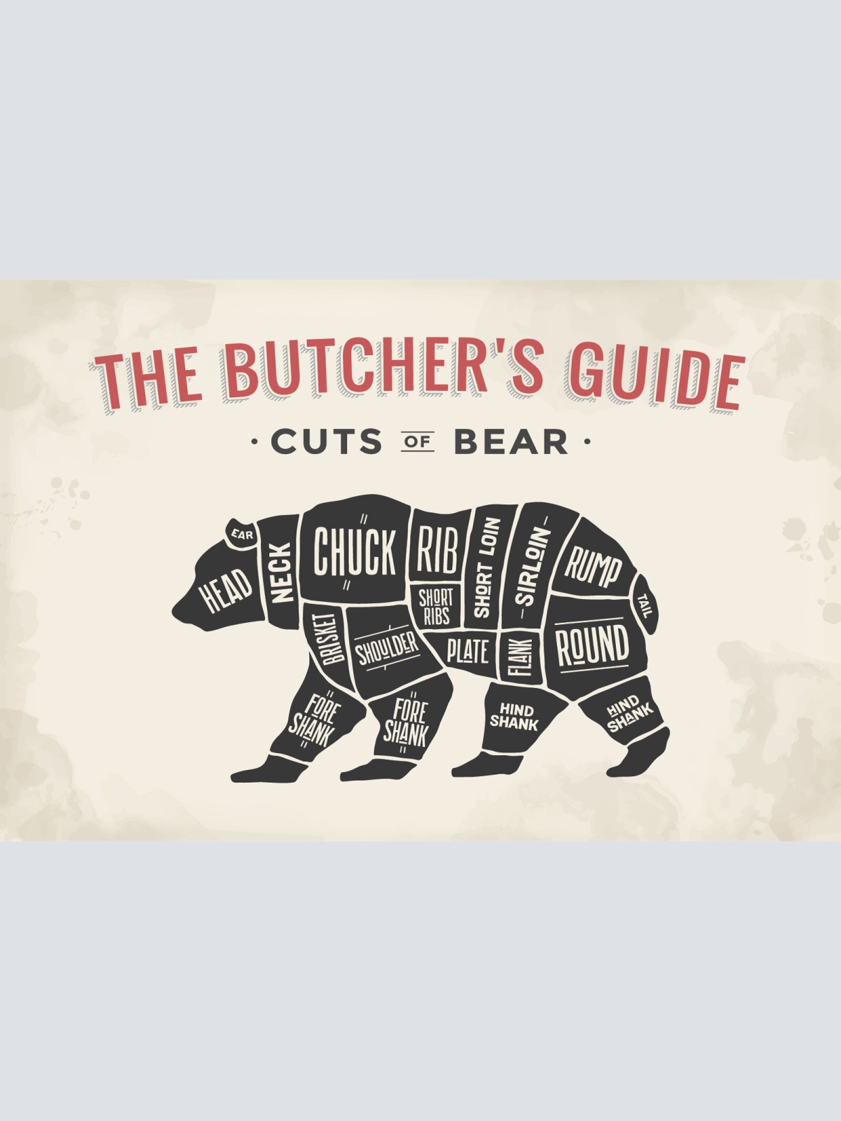 Nostalgie Schild Cuts of Bear Bär Diagramm 12x18 / 20x30 / 30x40 Blech od. Holz