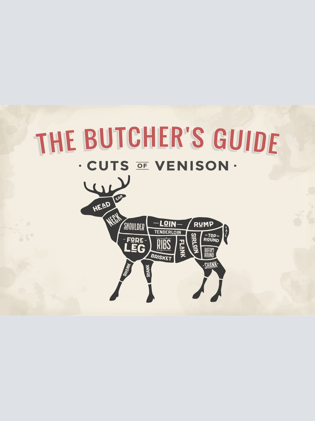 Nostalgie Schild Cuts of Venison Wild Diagr. 12x18 / 20x30 / 30x40 Blech od.Holz