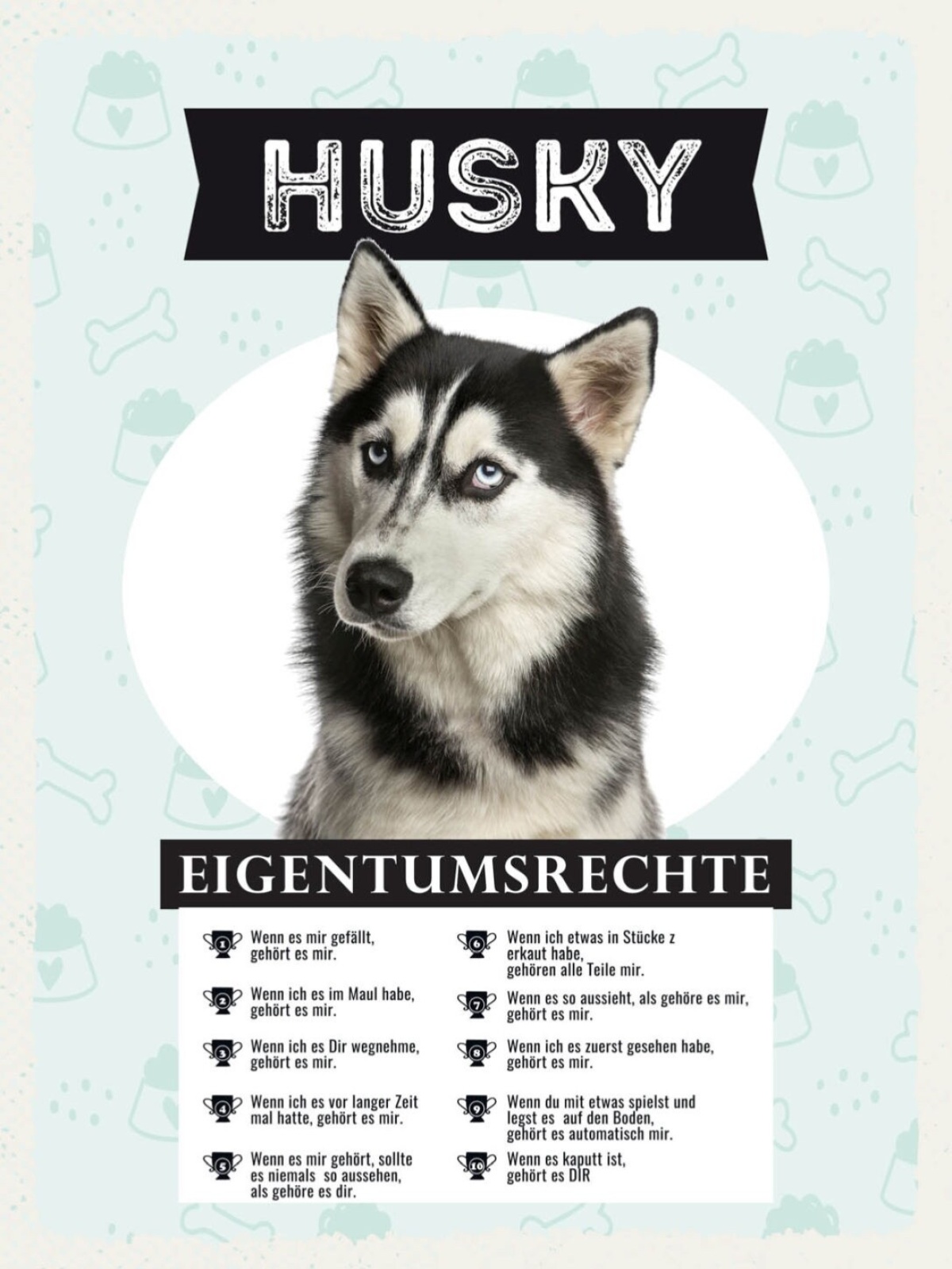 Schild Husky Eigentumsrechte Hund Tier Liebe 12x18 20x30 30x40 Blech/Holz