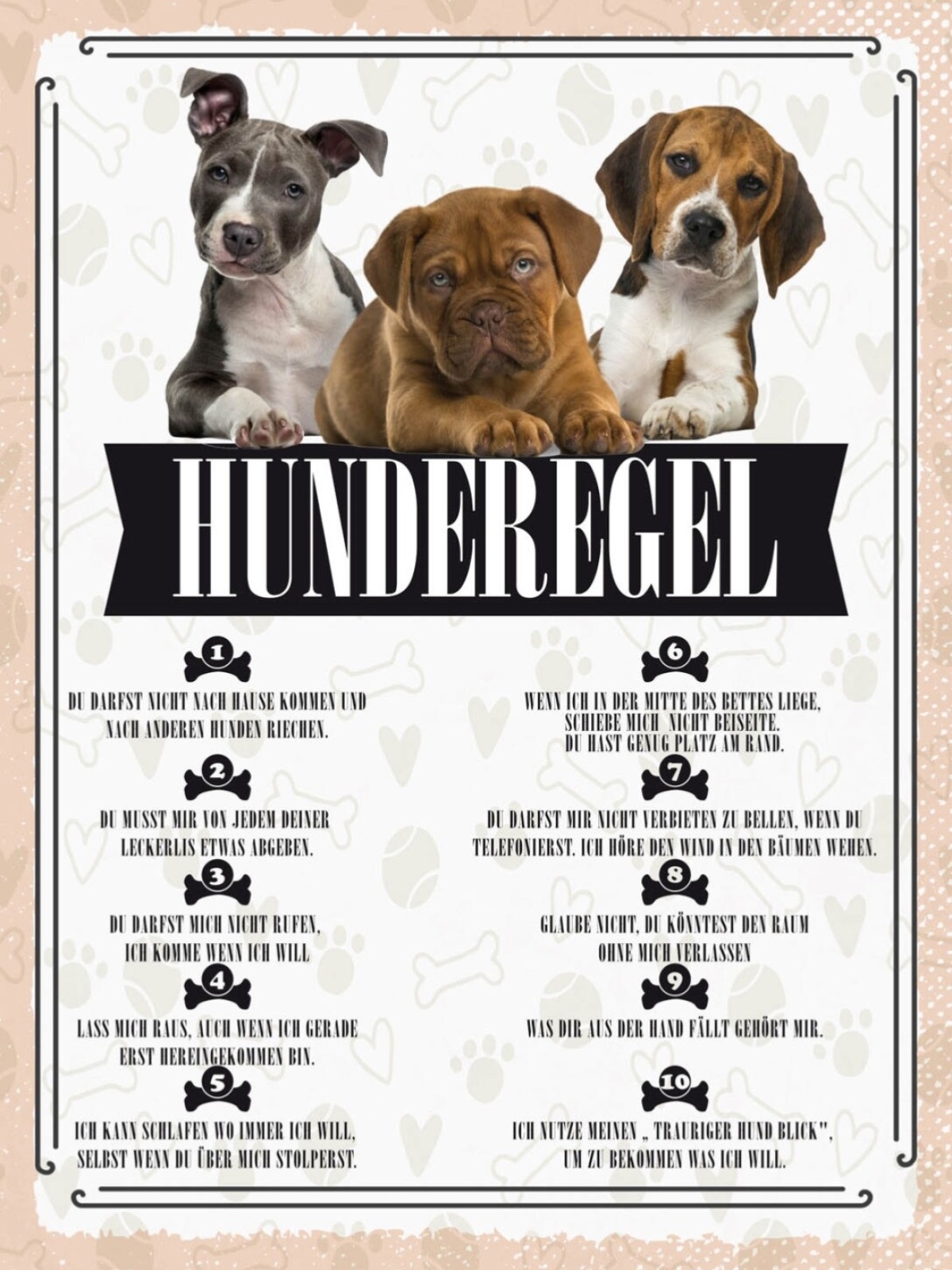 Schild Hunderegel Hund Haus Tier Liebe Zuhause 12x18 20x30 30x40 Blech/Holz