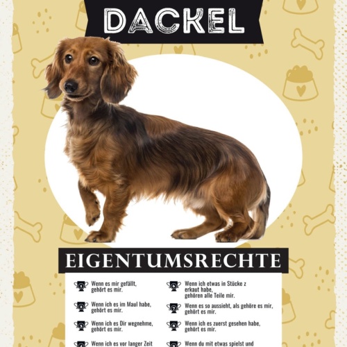 Schild Dackel Eigentumsrechte Hund Tier Liebe 12x18 20x30 30x40 Blech/Holz