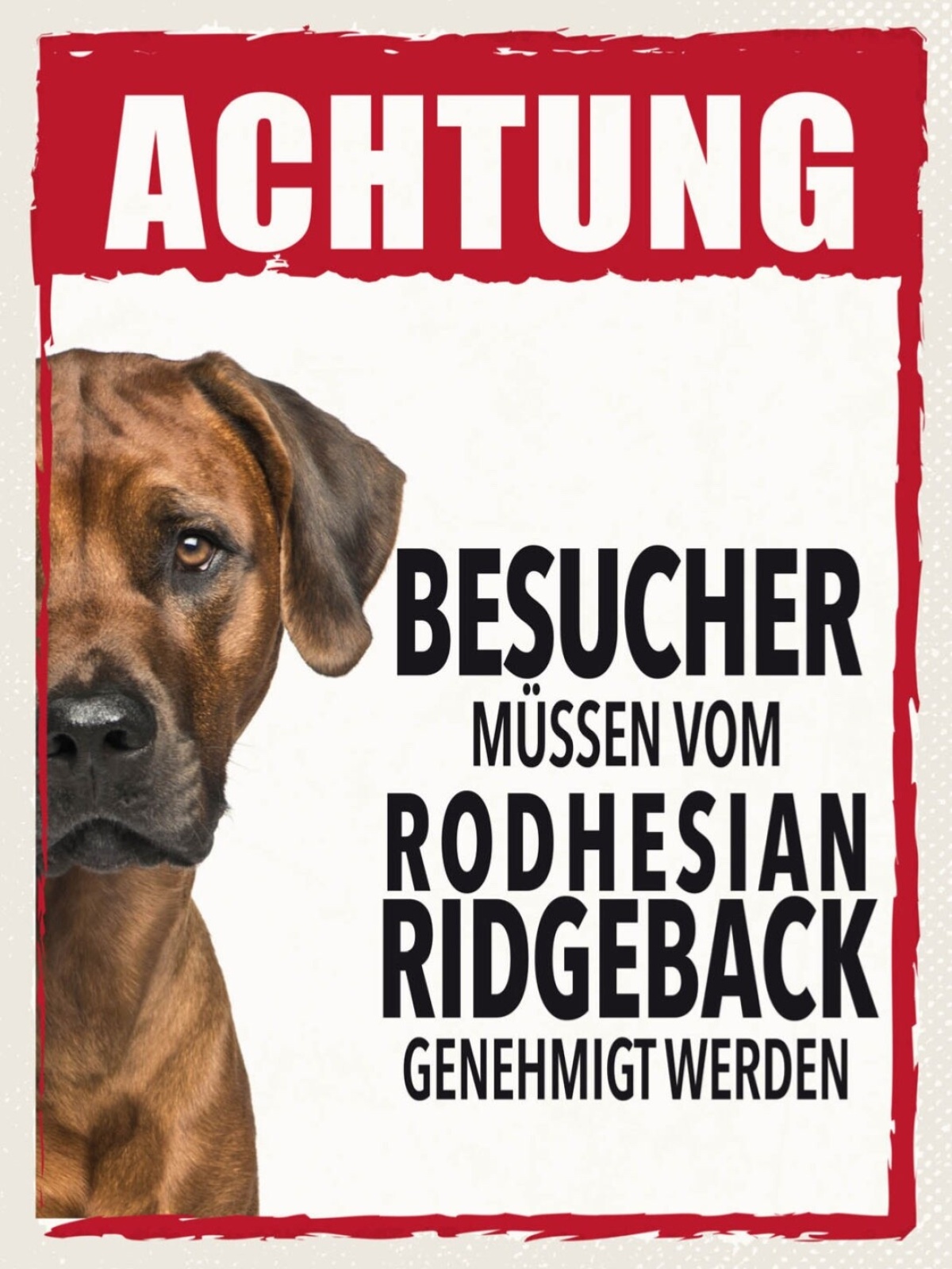 Schild Achtung Rodhesian Ridgeback Besucher Hund 12x18 20x30 30x40 Blech/Holz