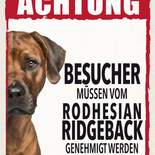 Schild Achtung Rodhesian Ridgeback Besucher Hund 12x18 20x30 30x40 Blech/Holz