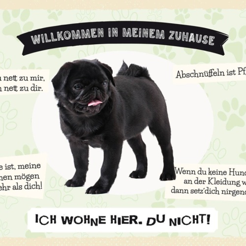 Schild Willkommen In Meinem Zuhause Mops Hund Tier 12x18 20x30 30x40 Blech/Holz