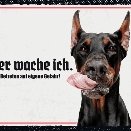 Schild Hier Wache Ich Dobermann Gefahr Hund Tier 12x18 20x30 30x40 Blech/Holz