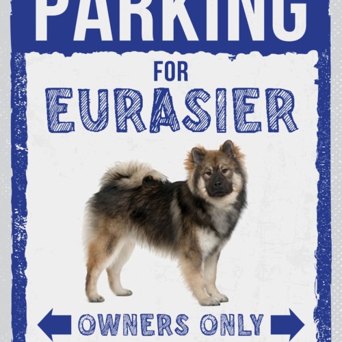 Schild Parking Eurasier Owners Only Hund Besitzer 12x18 20x30 30x40 Blech/Holz
