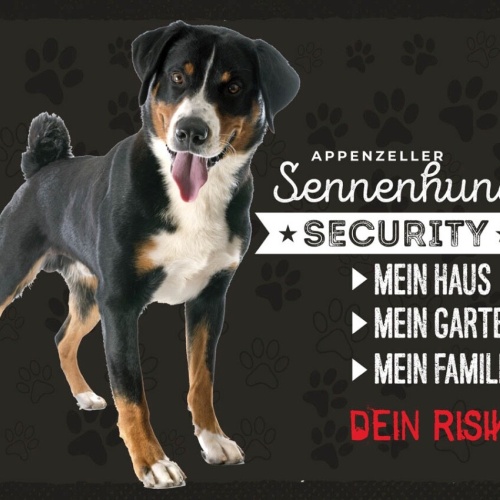 Schild Appenzeller Sennenhund Security Hund Haus 12x18 20x30 30x40 Blech/Holz