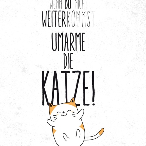 Schild Wenn Du Nicht Weiter Kommst Umarme Die Katze 12x18 20x30 30x40 Blech/Holz