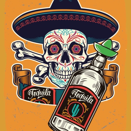 Schild Tequila Spirituose Alkohol Mexiko Totenkopf 12x18 20x30 30x40 Blech/Holz