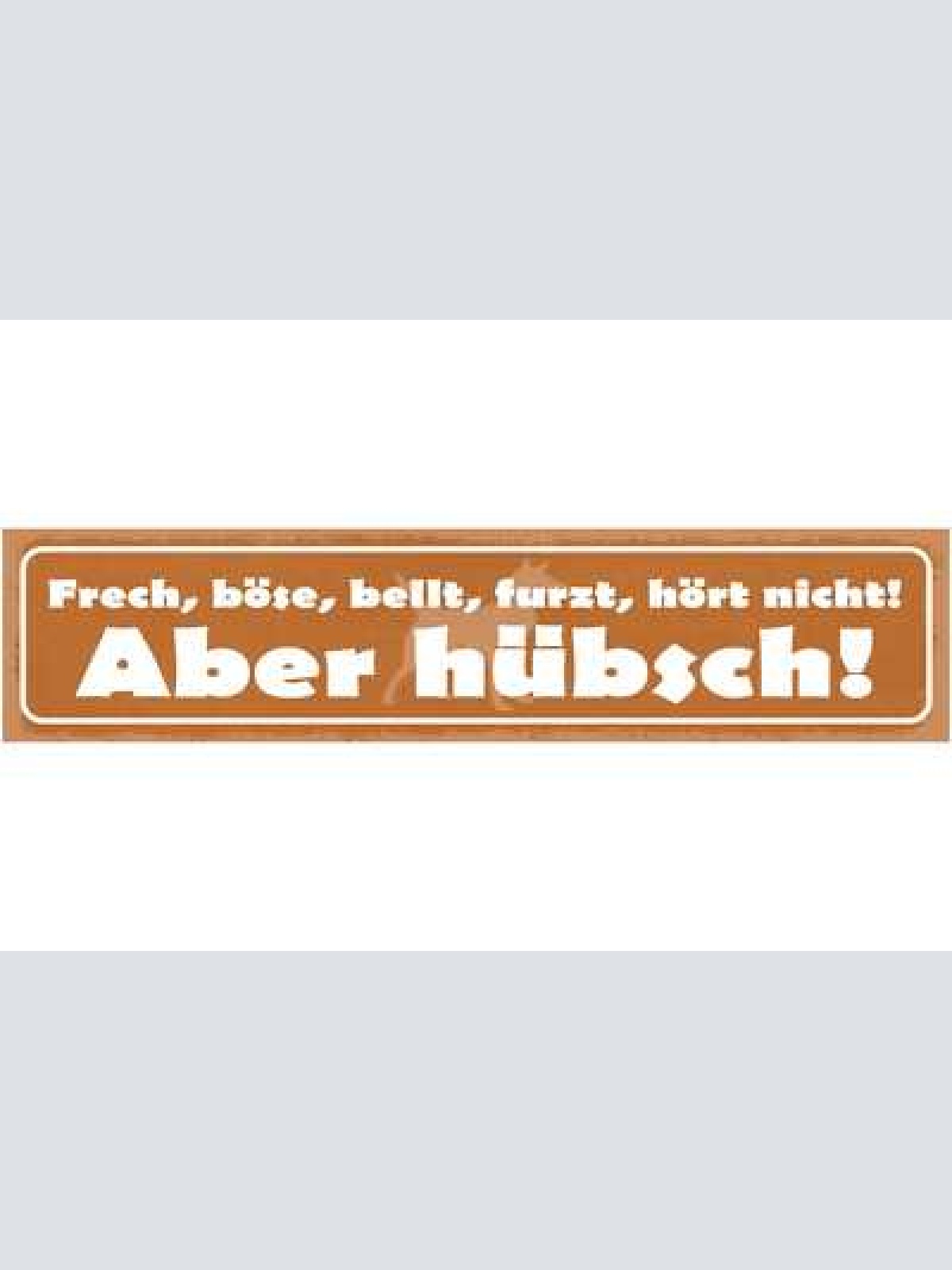 Schild frech böse bellt furzt hört nicht aber hübsch hund 46 x 10 blech od. holz