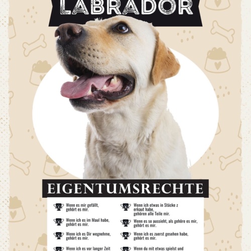 Schild Labrador Eigentumsrechte Hund Tier Liebe 12x18 20x30 30x40 Blech/Holz