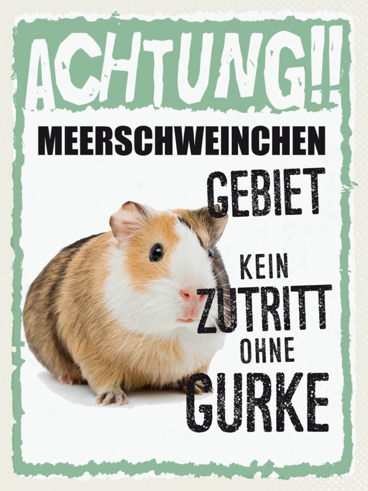 Schild Achtung Meerschweinchen Gebiet Kein Zutritt 12x18 20x30 30x40 Blech/Holz