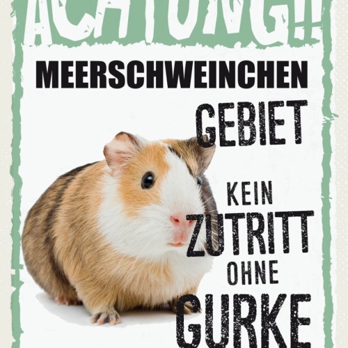 Schild Achtung Meerschweinchen Gebiet Kein Zutritt 12x18 20x30 30x40 Blech/Holz