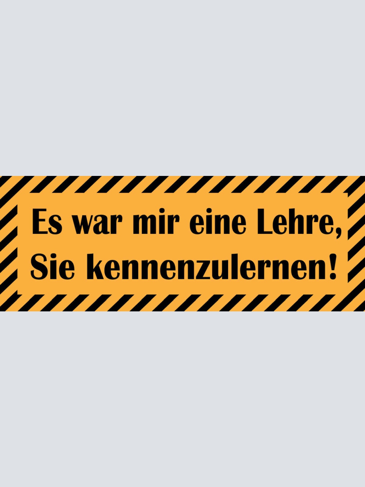 Schild Es War Mir Eine Lehre Sie Kennenzulernen 27 x 10 Blech od. Holz