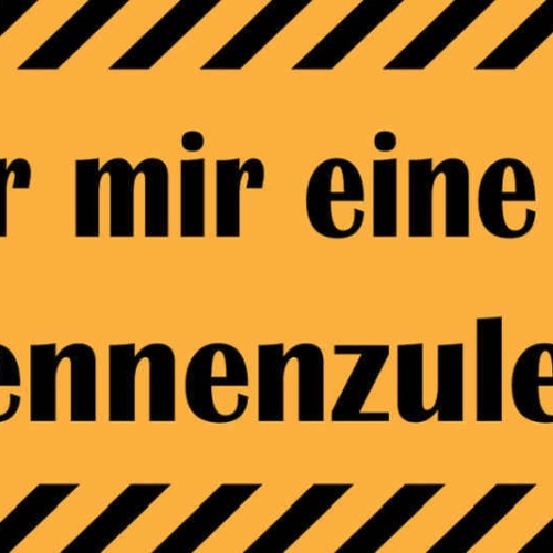 Schild Es War Mir Eine Lehre Sie Kennenzulernen 27 x 10 Blech od. Holz