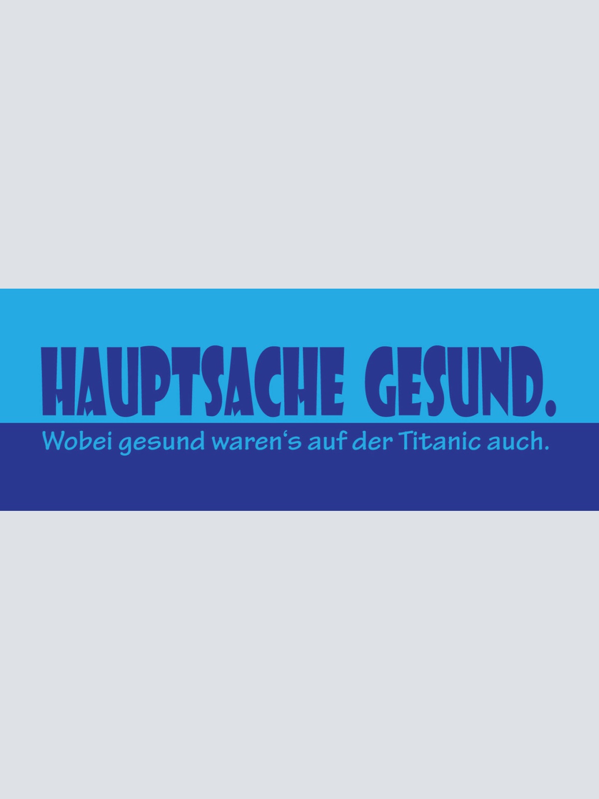 Schild Hauptsache Gesund Wobei Waren Sie Auf Titanic Auch 27x10 Blech od. Holz