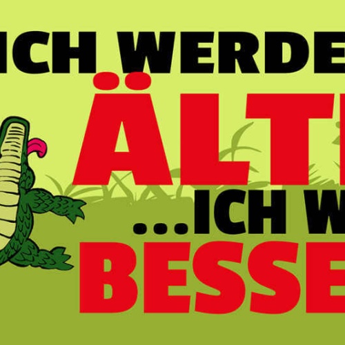 Schild Ich Werde Nicht Älter Ich Werde Besser Alt Alter 27 x 10 Blech od. Holz