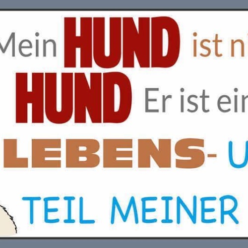 Schild mein hund ist nicht nur ein hund er ist teil meines lebens familie 27x10
