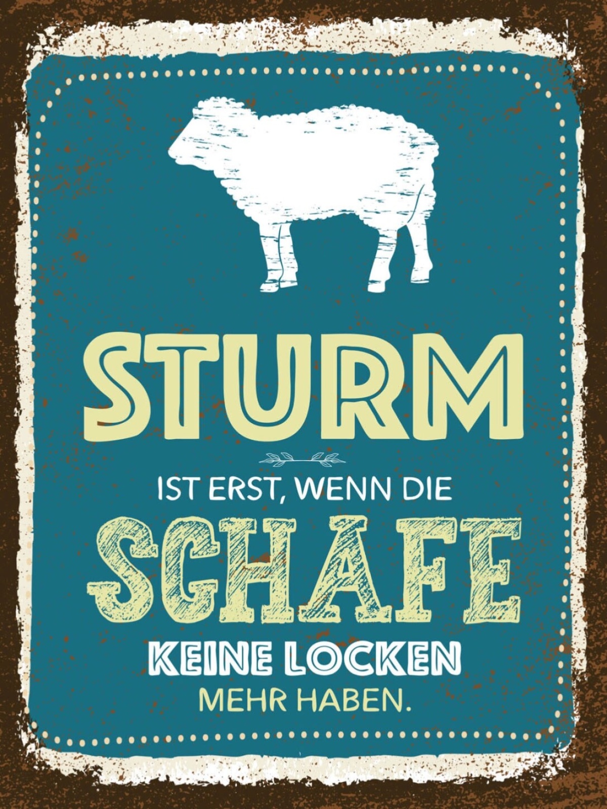 Schild Sturm Ist Erst Wenn Schafe Keine Locken 12x18 20x30 30x40 Blech/Holz