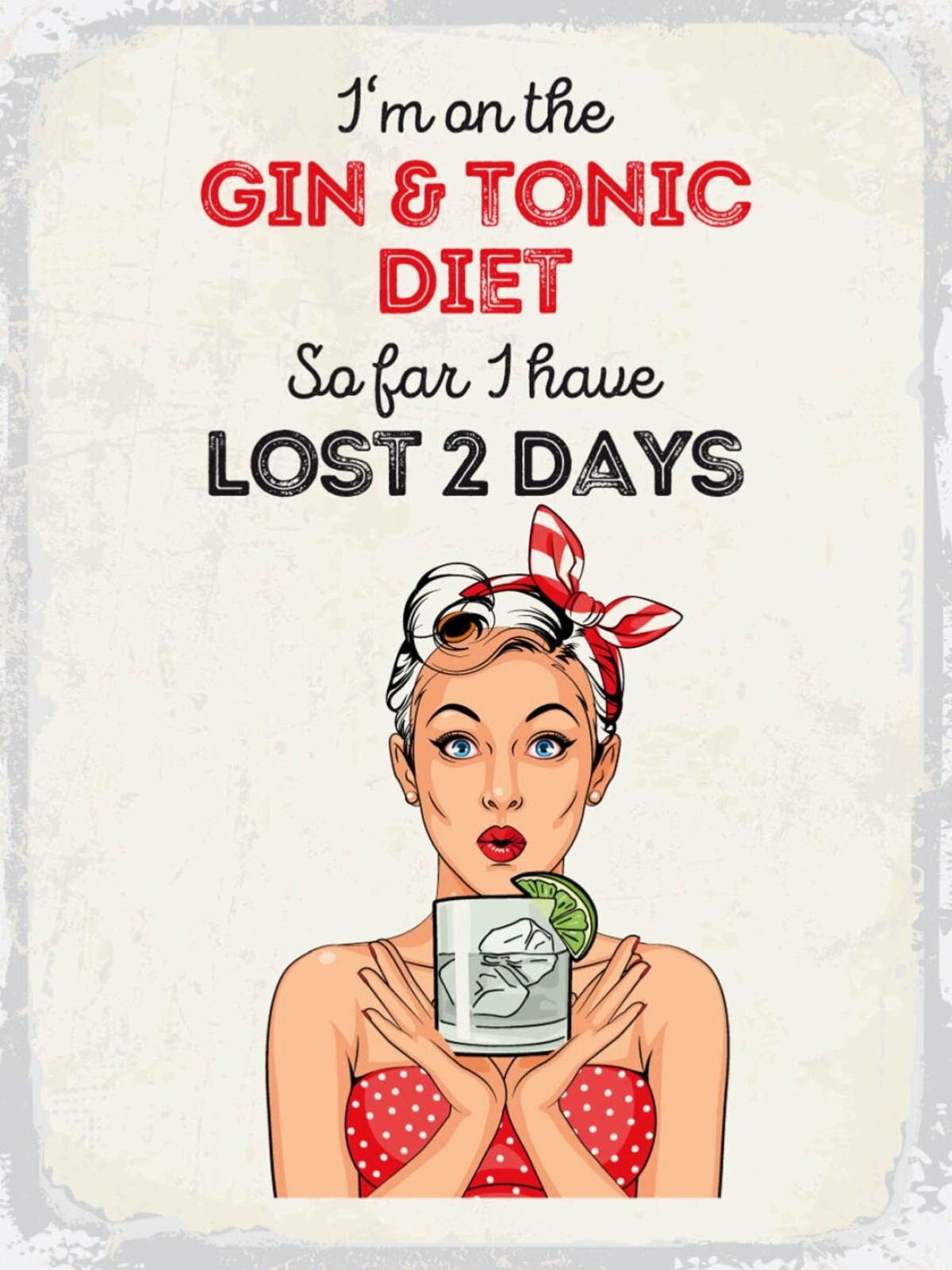 Schild I'm On The Gin & Tonic Diet Lost 2 Days 12x18 20x30 30x40 Blech/Holz