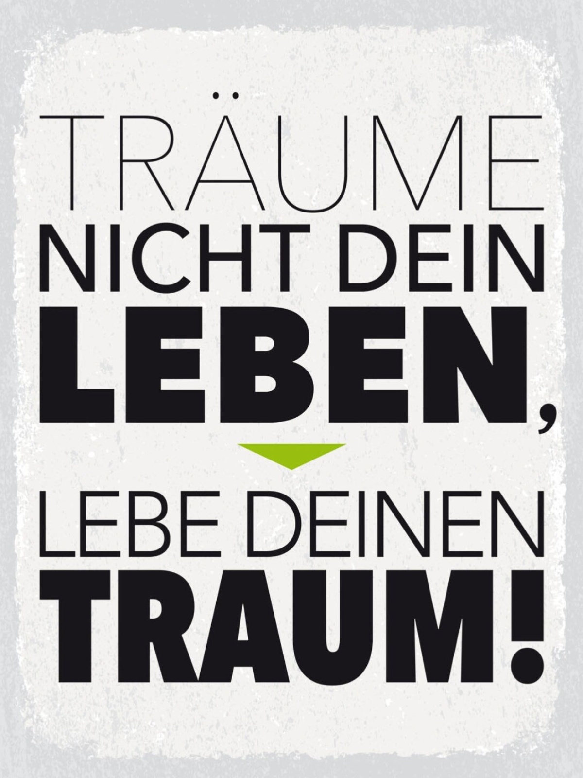 Schild Träume Nicht Dein Leben Lebe Deinen Traum 12x18 20x30 30x40 Blech/Holz
