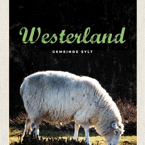 Schild Westerland Gemeinde Sylt Schaf Gras Weide D 12x18 20x30 30x40 Blech/Holz