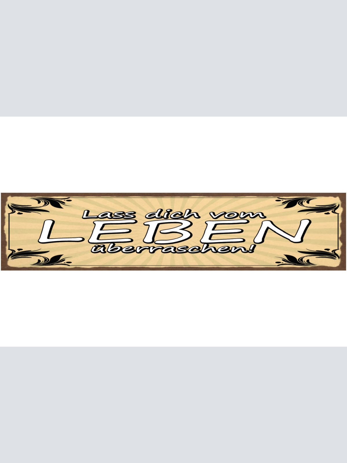 Schild Lass Dich vom Leben Überraschen Überraschung 46 x 10 Blech od. Holz