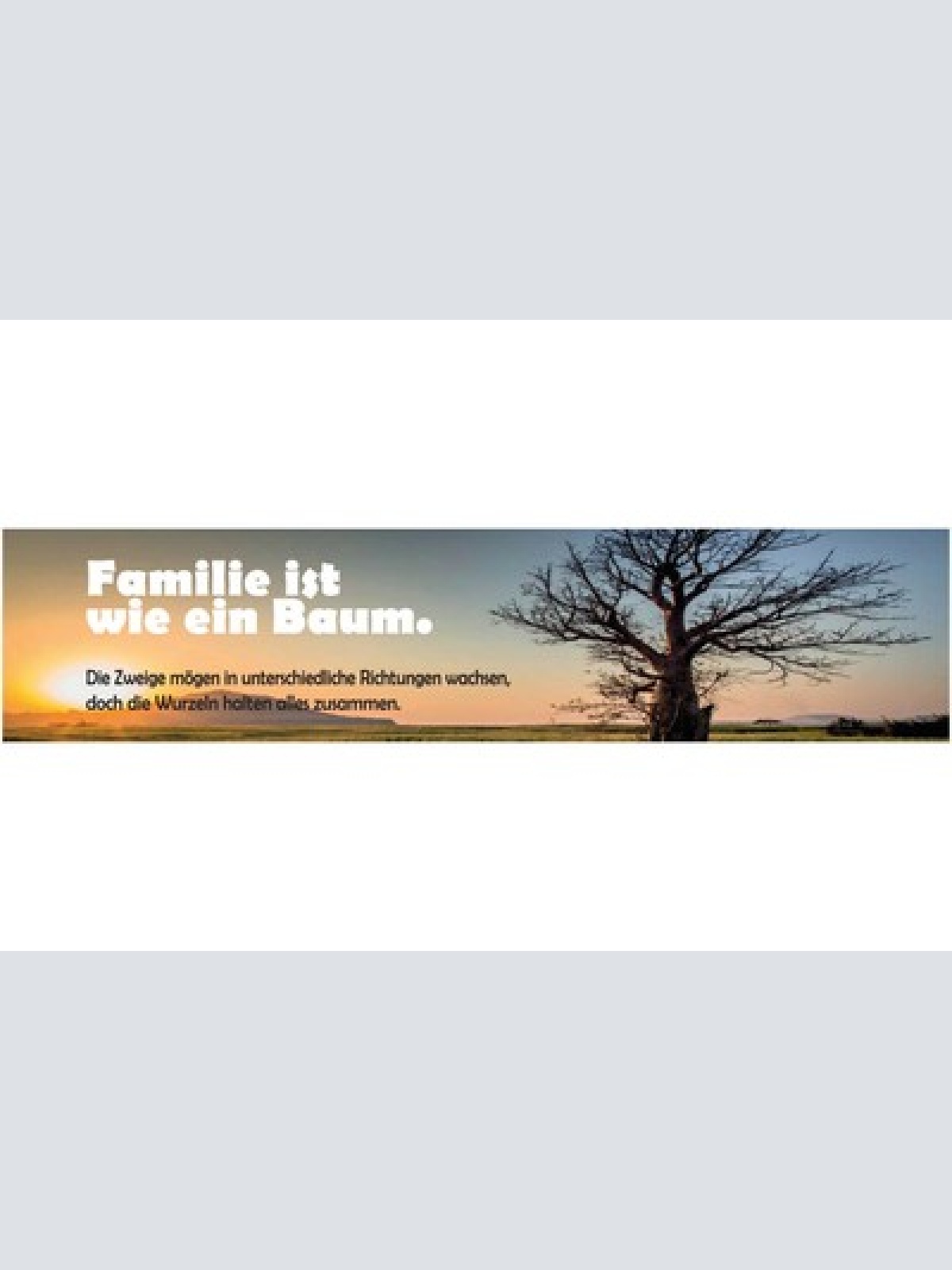 Schild Familie Ist Wie Ein Baum Zweige Wurzeln Ehe Liebe 46 x 10 Blech od. Holz