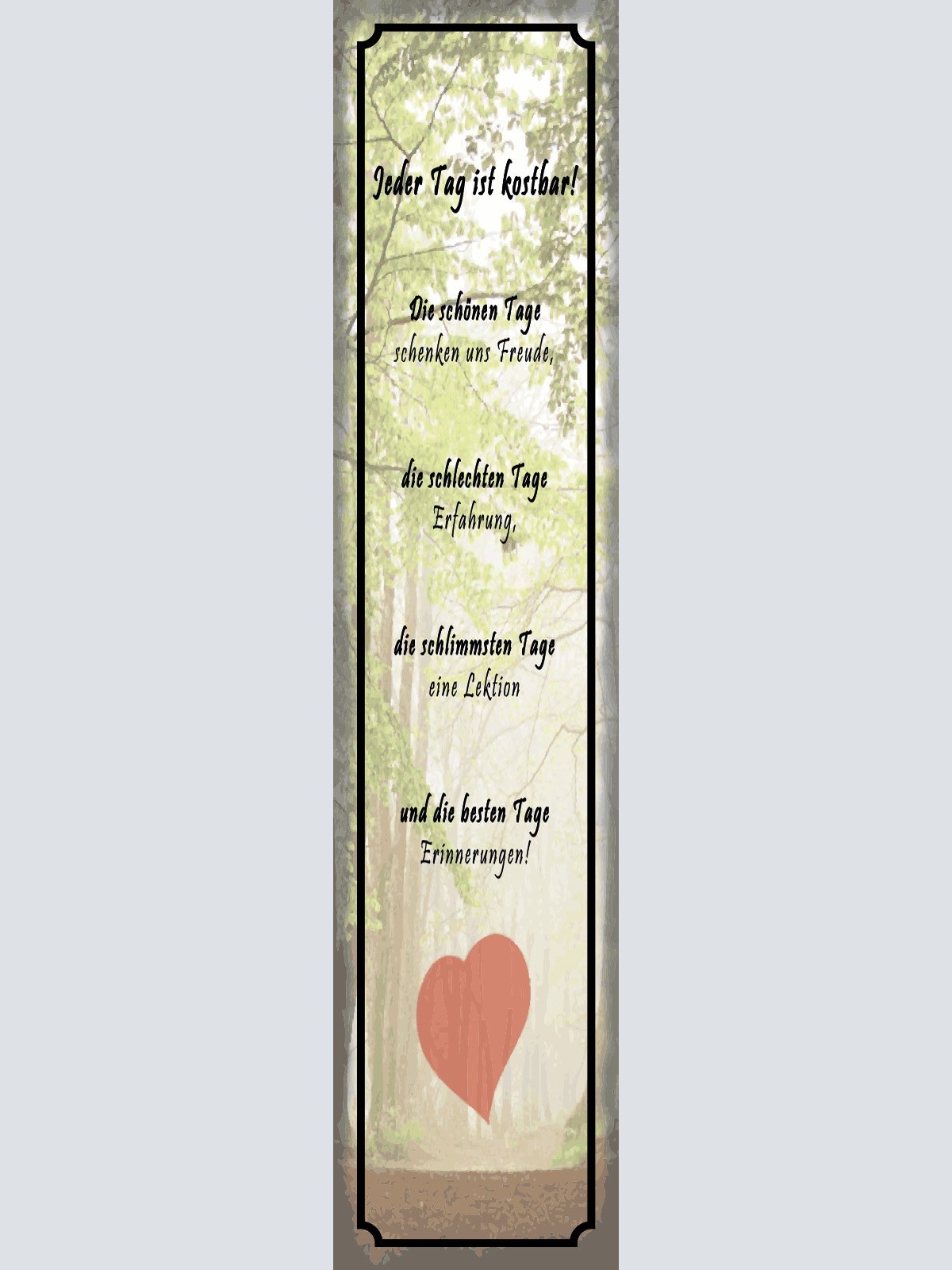 Schild Jeder Tag Ist Kostbar Freude Erfahrung Erinnerung 46 x 10 Blech od. Holz