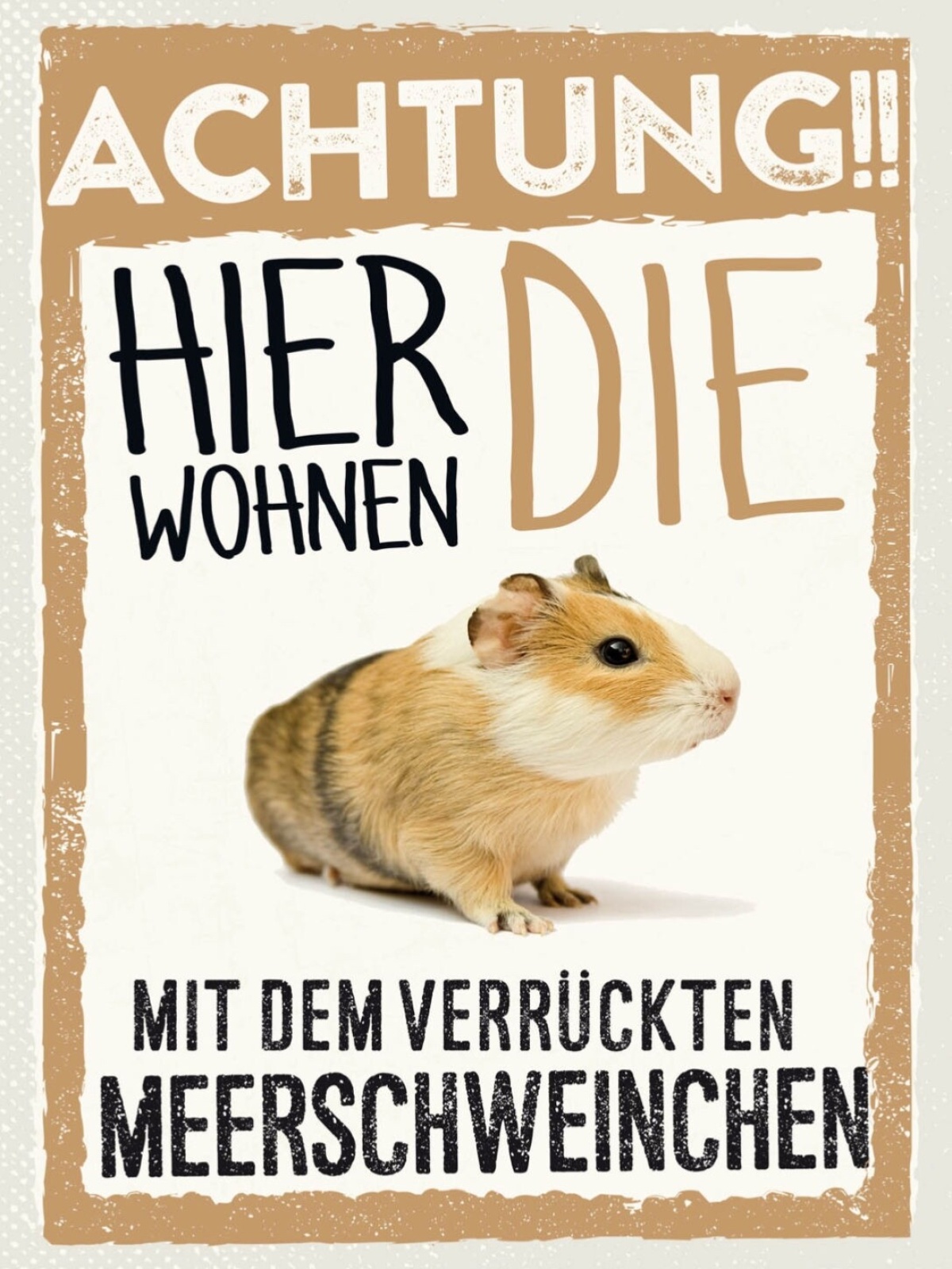 Schild Achtung Hier Wohnen Die Mit Meerschweinchen 12x18 20x30 30x40 Blech/Holz