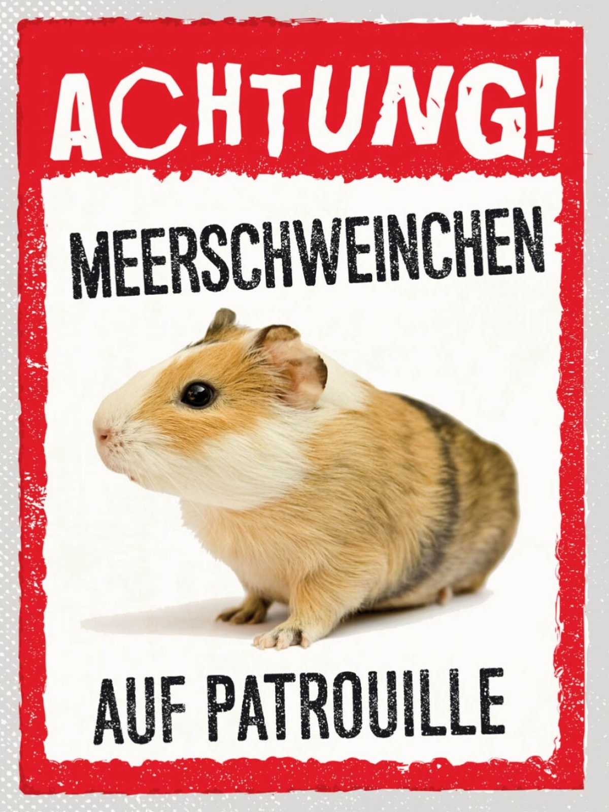 Schild Achtung Meerschweinchen Auf Patrouille Tier 12x18 20x30 30x40 Blech/Holz