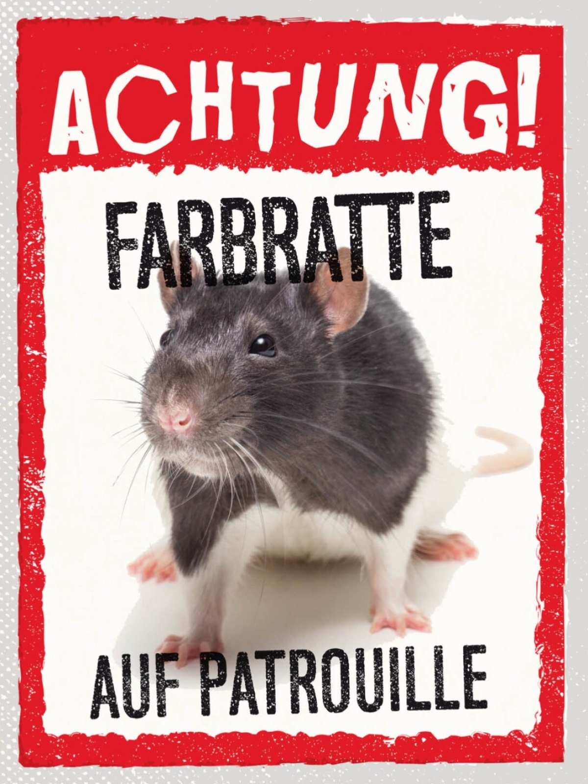 Schild Achtung Farbratte Auf Patrouille Haus Tier 12x18 20x30 30x40 Blech/Holz