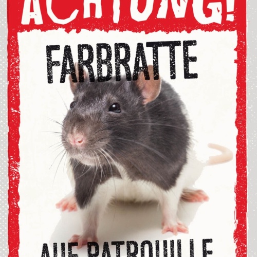 Schild Achtung Farbratte Auf Patrouille Haus Tier 12x18 20x30 30x40 Blech/Holz