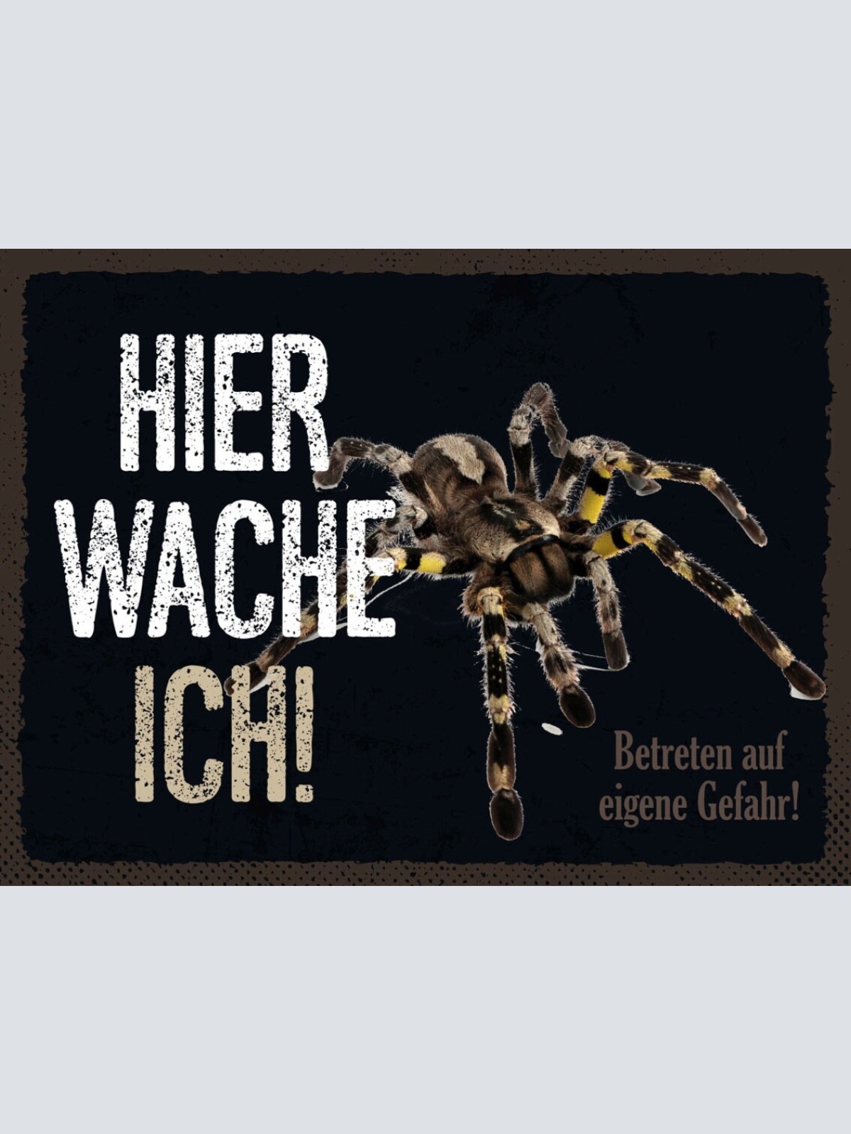 Schild Hier Wache Ich Vogelspinne Gefahr Haus Tier 12x18 20x30 30x40 Blech/Holz