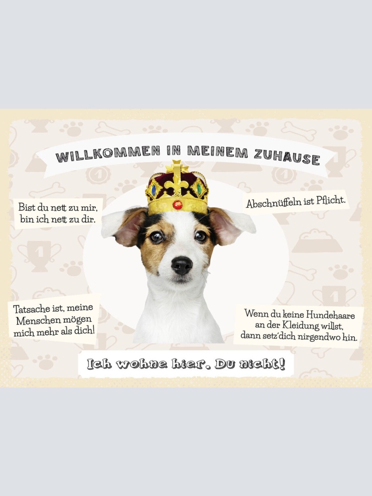 Schild Willkommen Zuhause Jack Russel Terrier Hund 12x18 20x30 30x40 Blech/Holz