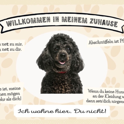 Schild Willkommen In Meinem Zuhause Pudel Hund Tier 12x18 20x30 30x40 Blech/Holz