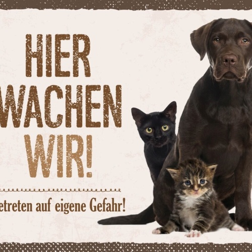 Schild Hier Wachen Wir Hund Katze Gefahr Haus Tier 12x18 20x30 30x40 Blech/Holz