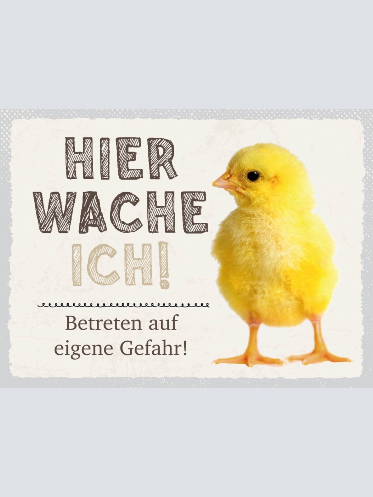 Schild Hier Wache Ich Küken Eigene Gefahr Huhn Tier 12x18 20x30 30x40 Blech/Holz