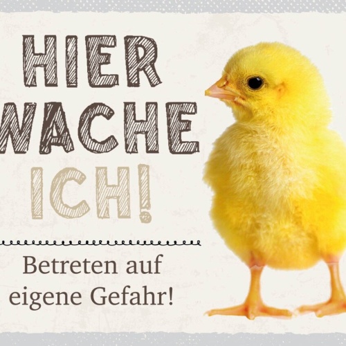 Schild Hier Wache Ich Küken Eigene Gefahr Huhn Tier 12x18 20x30 30x40 Blech/Holz