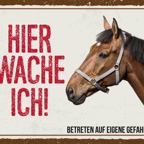 Schild Hier Wache Ich Pferd Eigene Gefahr Tier 12x18 20x30 30x40 Blech/Holz