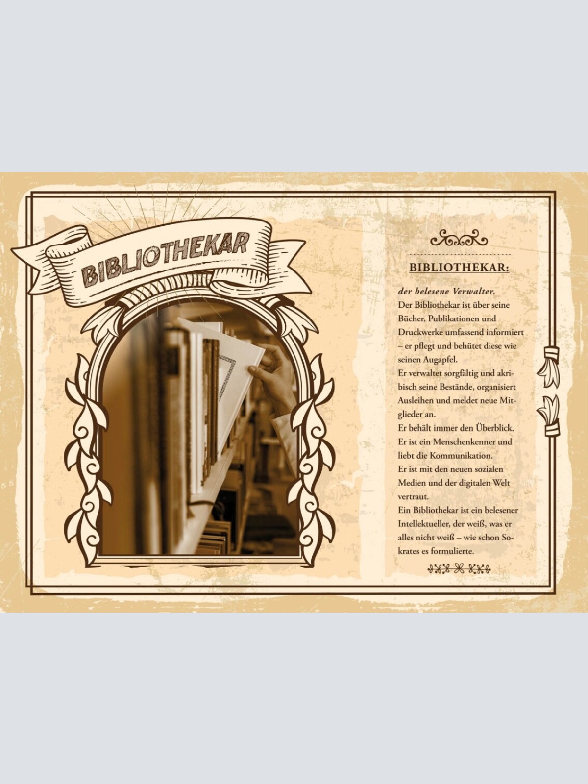 Schild Bibliothekar Beruf Bibliothek Buch Bücherei 12x18 20x30 30x40 Blech/Holz